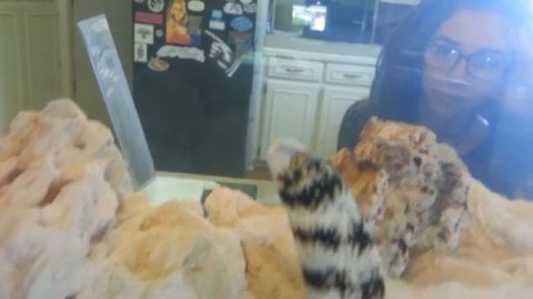 Saturn the Sandworm.