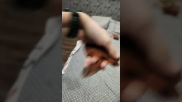 Как я это сделал?