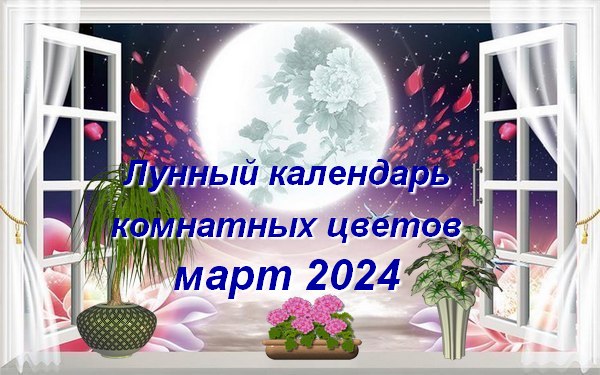 Лунный календарь комнатных растений на март 2024 года
