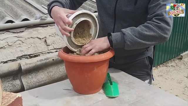 DIY Поделки из цемента Кашпо и Вазоны из цемента своими руками Цветочный горшок из цемента #Cement