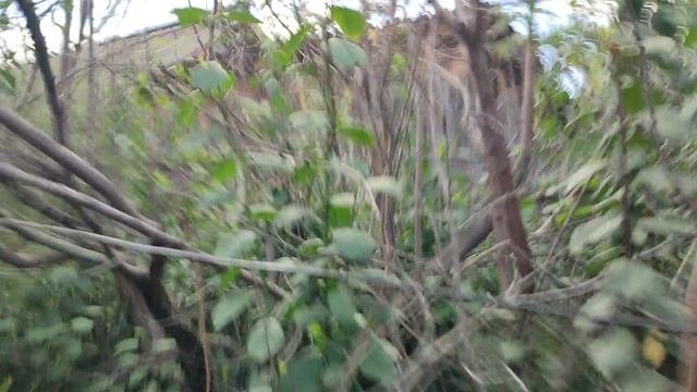 VID_20230817_150249.mp4