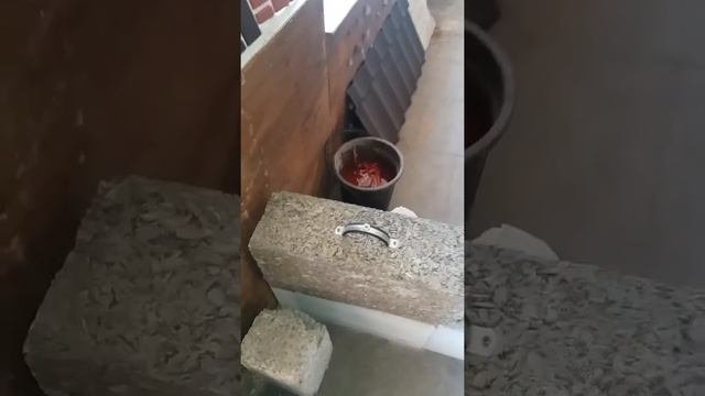 Арболитовые блоки в Алматы