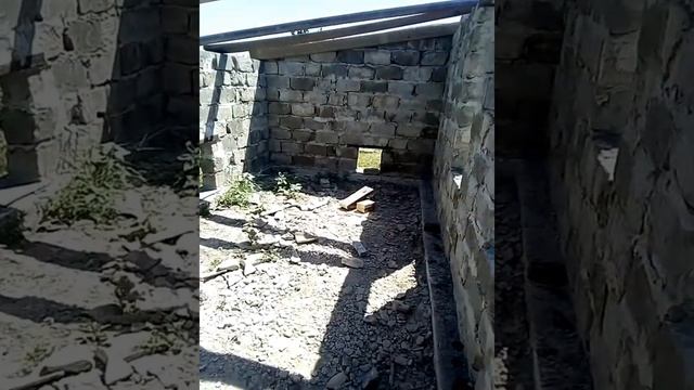 Сарай для свиней без опыта строительства