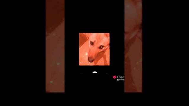 1000014110.mp4