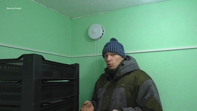 Инкубаторий,что успели сделать?