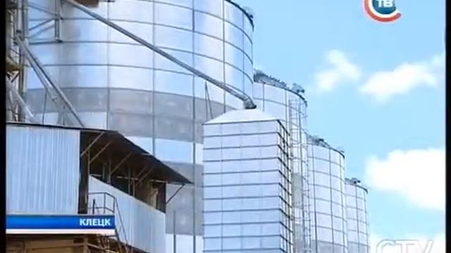 В Клецке за сутки перерабатывают около 100 тонн семян рапса