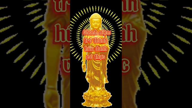 Tất Cả Các Tạp Niệm Đều Là Luân Hồi Trong 6 Đường