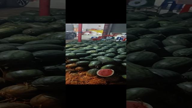 Как выбрать арбузы во Вьетнаме.