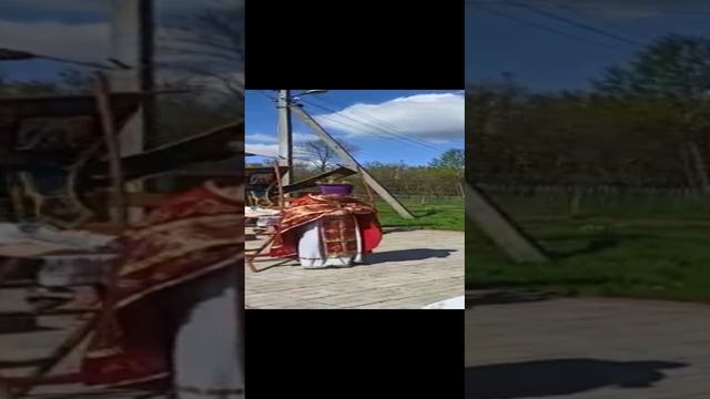 Без названия