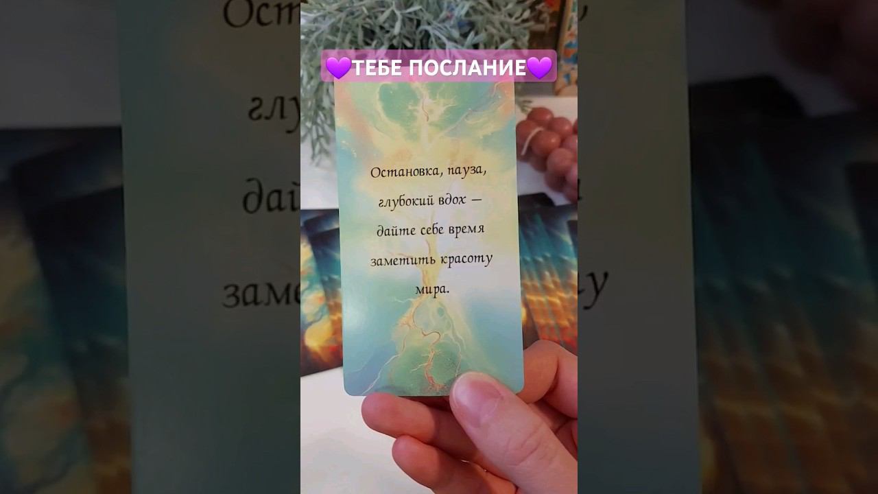 Послание от Высших сил! #таро #tarot #тароонлайн #предсказание #гадание #картадня #расклад