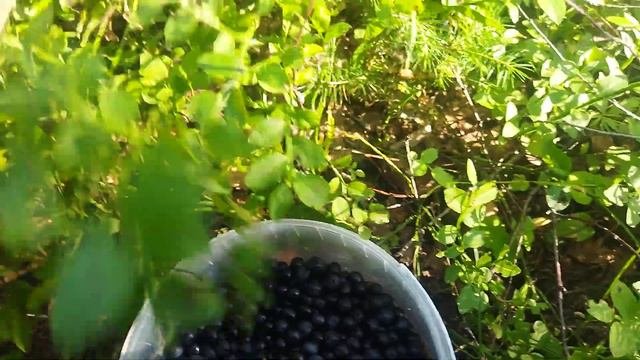 Мои новые 2 курса- будет ли кому это интересно полезно? Нужен ваш совет