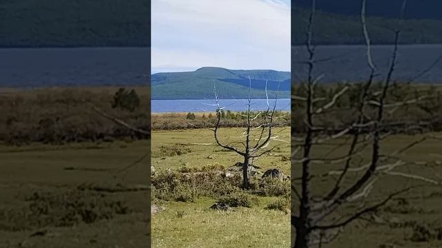 Поездка на озеро Хубсугул