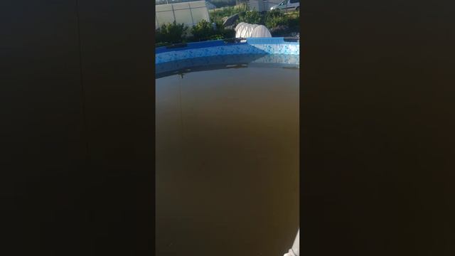Чистим бассейн