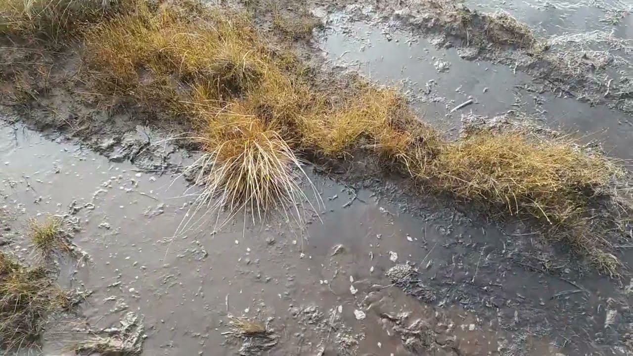 Едем на закрытие сезона жидкой воды,12 Октября 2022 г. ч.7