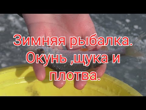 Зимняя рыбалка. Окунь ,щука и плотва.