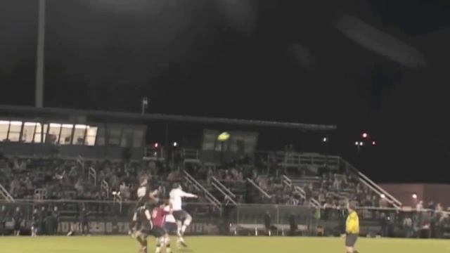 David Geno Highlights