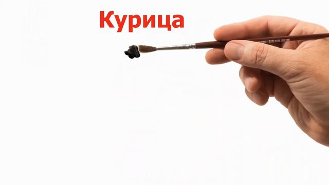 Загадки о животных.