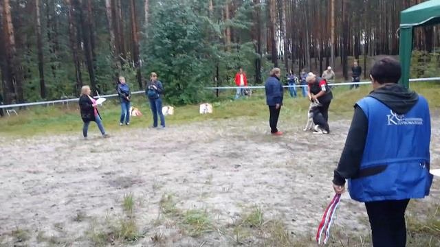 14/08/16 Моно ВЕО/ КЧК/Нижний Новгород/ Суки юниорки