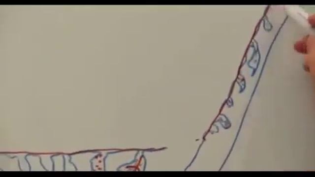 Обучающее видео Аквастоп