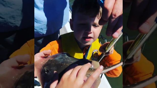 5 Year Old Mistakes Stingray Anatomy during Fishing Trip   ViralHog