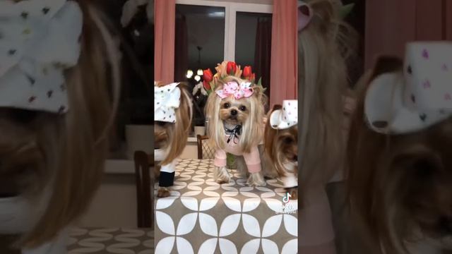 Без названия