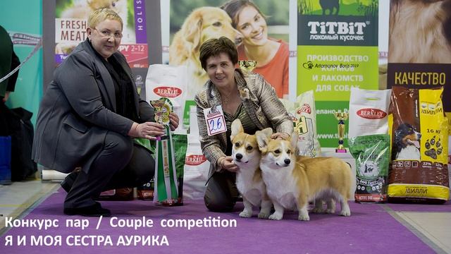 Питомник Планета Корги Эдельвейс представляет