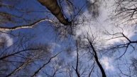 Video 2016-1-252 (3586) Autumn music 29/2016 VANESSA MAE "Autumn" VIVALDI FOUR SEASONS