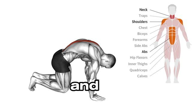 Fix Lower Back Curve ➡️5 Exercises