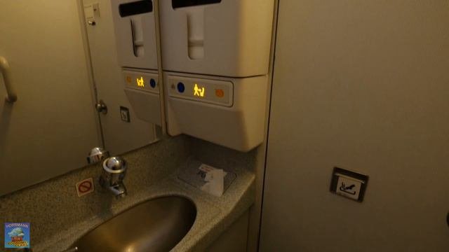 Royal Jordanian Airlines Full Flight Report royaljordanian