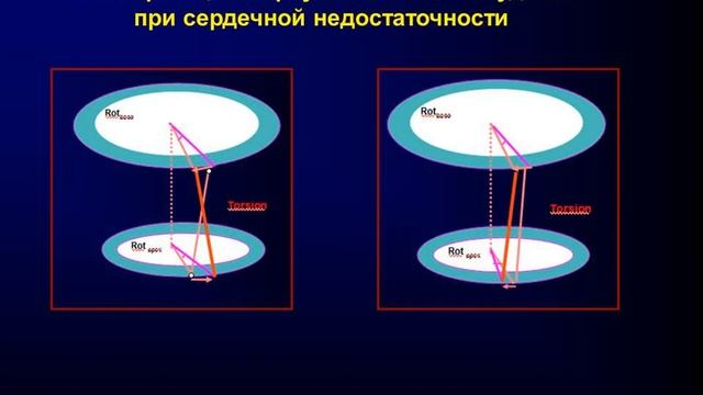 Лекция Елены Павлюковой