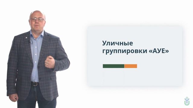Лекция 3.1. Социальное пространство АУЕ