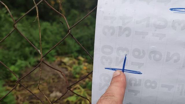 Проба field target 5.5 1.65.mp4