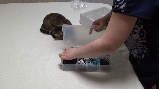МОЁ УТРО\ОПЯТЬ ВСЕ НЕ ТАК\ПЛАНЫ КУПИТЬ\СКРОМНАЯ ЗАКУПКА\ПОЧЕМУ ТАК НАЗЫВАЮ МУЖА\МОЙ ВЕЧЕР НА КУХНЕ