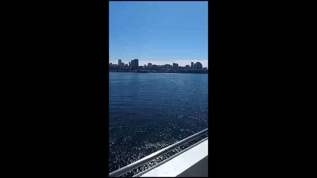 клиент идет на пароме в Корею