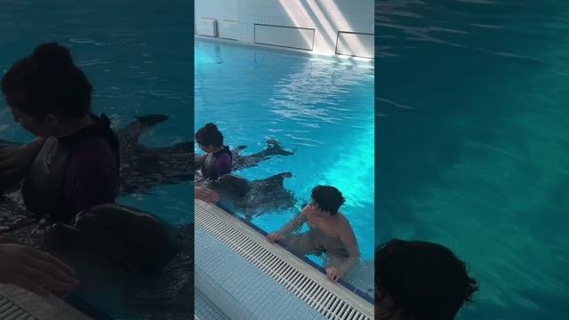 ?⚡️ СЕПАРАЦИЯ С РОДИТЕЛЬСКОЙ ФИГУРОЙ НЕОБХОДИМА ДЛЯ ТОГО, ЧТОБЫ ЖИТЬ ДАЛЬШЕ?♀️