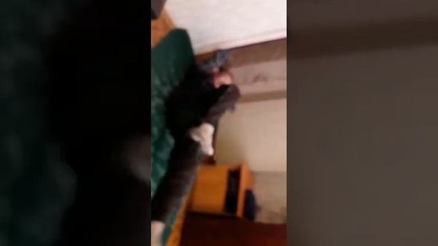 Видеозанятия от тренера по лыжным гонкам Рыжкова Георгия Анатольевича