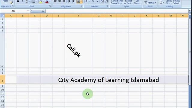 Excel 2007 Tutorial in Urdu Cali.pk  Lesson-4
