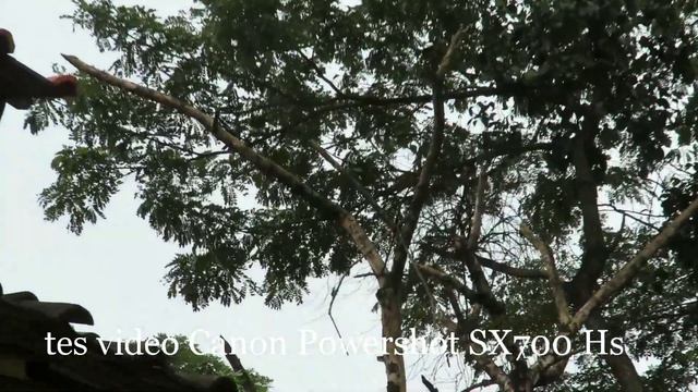 Canon Powershot SX700HS