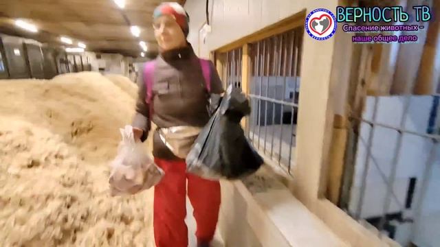 «ЛУЧШИЙ ПРИЮТ РОССИИ» - так нам говорят, но мы только идём к совершенству. В гостях у ВЕРНОСТИ.