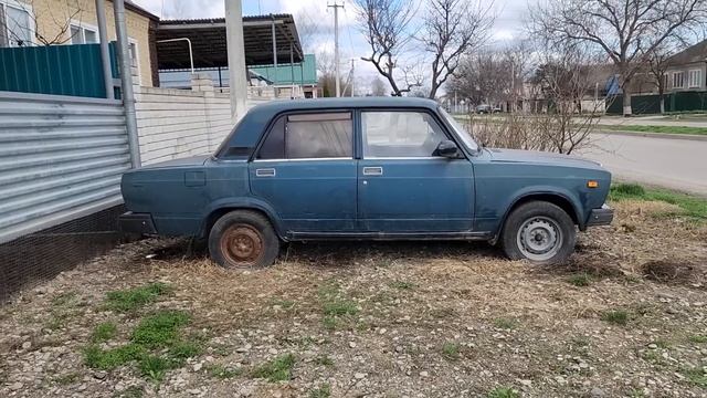 Приехали в Новопавловск спустя полтора года. Город с которого все начиналось. Собака - Кусака.