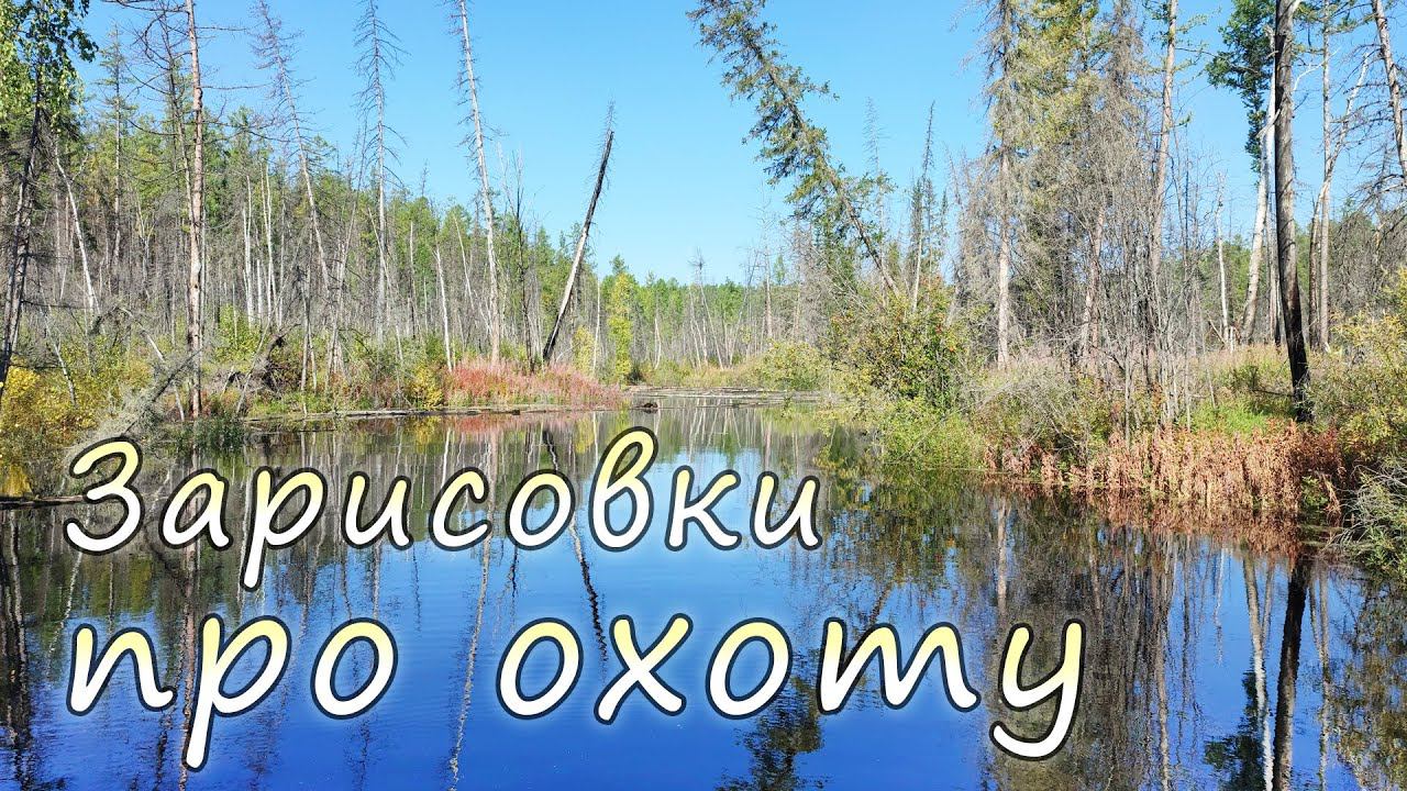 Зарисовки про охоту