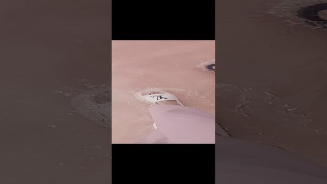 VID_20230729_130726.mp4