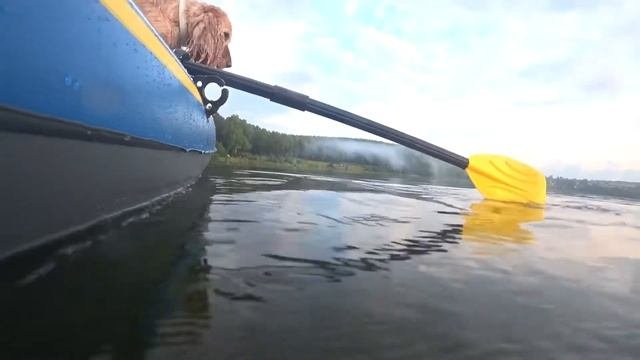 Двое в лодке не считая собаки