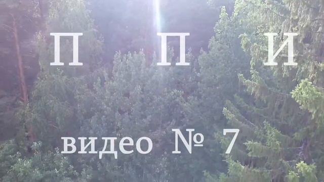 ППИ   7