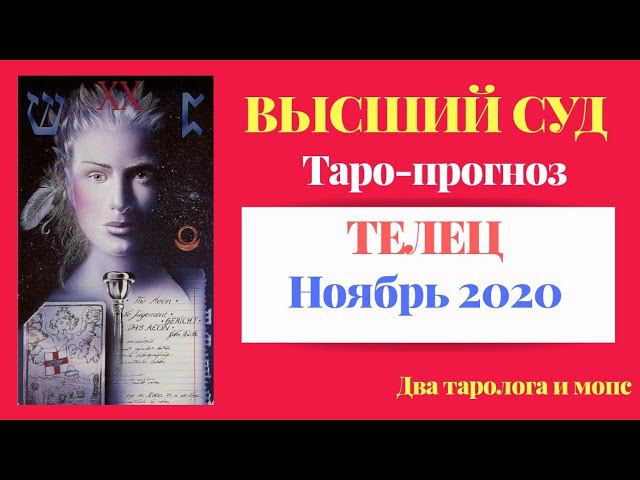 ТЕЛЕЦ. Ноябрь 2020 Высший Суд. Сил хватит на всё - отбросим ненужное