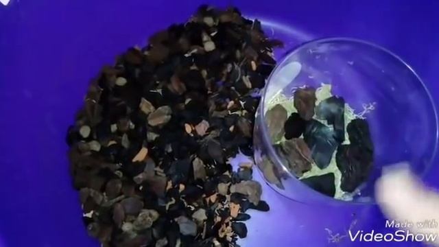Пересадка Детки Cleveland в Закрытую Систему