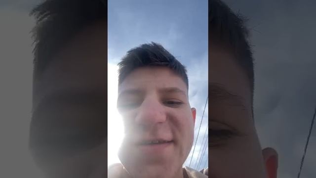 Без названия