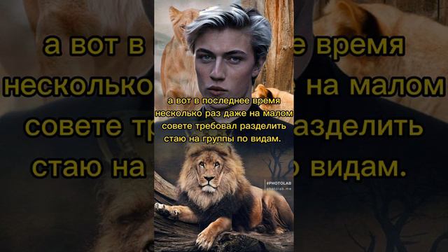 Беги, Юнги... беги! ч. 16.