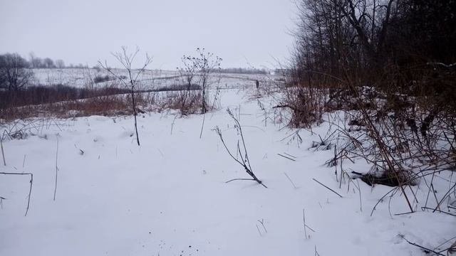 Коп в гостях .СТРАШНЫЙ ДЕД КАК ЕТИ.snowman bigfoot yeti sasquatch