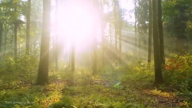 Relaxing Music To Relieve Stress, Anxiety And Depression • Mind, Body & Soul Healing #3